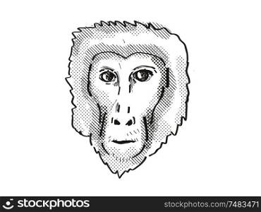 Retro cartoon style drawing head of a Assam Macaque , a monkey species viewed from front on isolated white background done in black and white. Assam Macaque Monkey Cartoon Retro Drawing