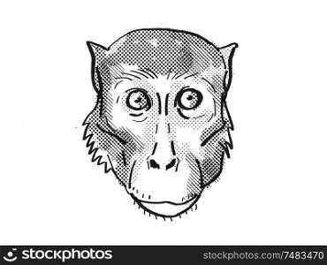 Retro cartoon style drawing head of a Rhesus Macaque , a monkey species viewed from front on isolated white background done in black and white. Rhesus Macaque Monkey Cartoon Retro Drawing