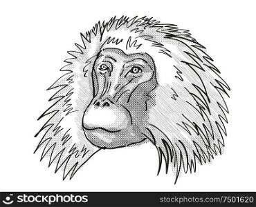 Retro cartoon style drawing head of a shaggy male Gelada, a monkey species viewed from front on isolated white background done in black and white. shaggy male Gelada Monkey Cartoon Retro Drawing