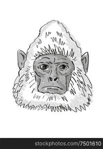 Retro cartoon style drawing head of a Sri Lankan Gray Langur, a monkey species viewed from front on isolated white background done in black and white. Sri Lankan Gray Langur Monkey Cartoon Retro Drawing