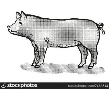 Retro cartoon style drawing of a Berkshire sow or boar, a pig breed viewed from side on isolated white background done in black and white. Berkshire Pig Breed Cartoon Retro Drawing