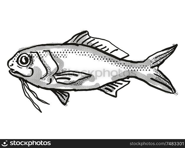Retro cartoon style drawing of a Berndt&rsquo;s Beardfish , a native Australian marine life species viewed from side on isolated white background done in black and white.. Berndt&rsquo;s Beardfish Australian Fish Cartoon Retro Drawing