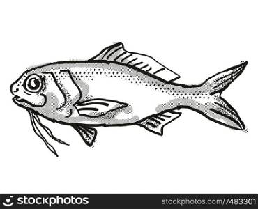 Retro cartoon style drawing of a Berndt&rsquo;s Beardfish , a native Australian marine life species viewed from side on isolated white background done in black and white.. Berndt&rsquo;s Beardfish Australian Fish Cartoon Retro Drawing
