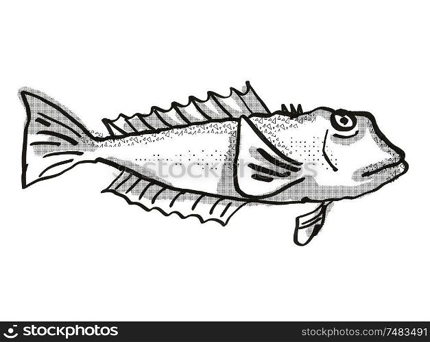 Retro cartoon style drawing of a blue cod , a native New Zealand marine life species viewed from side on isolated white background done in black and white. Blue Cod New Zealand Fish Cartoon Retro Drawing