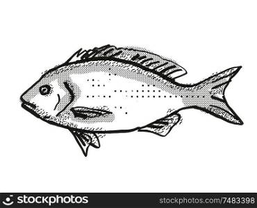 Retro cartoon style drawing of a Blue Drummer , a native Australian marine life fish species viewed from side on isolated white background done in black and white.. Blue Drummer Australian Fish Cartoon Retro Drawing