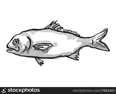 Retro cartoon style drawing of a Busakhin&rsquo;s Beardfish , a native Australian marine life species viewed from side on isolated white background done in black and white.. Busakhin&rsquo;s Beardfish Australian Fish Cartoon Retro Drawing