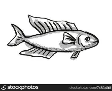 Retro cartoon style drawing of a Butterfish or Odax Pullus , a native New Zealand marine life species viewed from side on isolated white background done in black and white. Butterfish New Zealand Fish Cartoon Retro Drawing