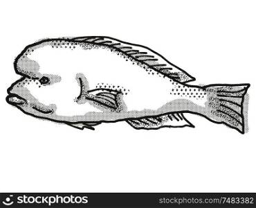 Retro cartoon style drawing of a Doubleheader , a native Australian marine life species viewed from side on isolated white background done in black and white.. Doubleheader Australian Fish Cartoon Retro Drawing