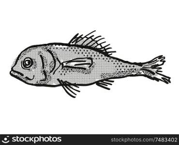 Retro cartoon style drawing of a Eyebrow Bigscale , a native Australian marine life fish species viewed from side on isolated white background done in black and white.. Eyebrow Bigscale Australian Fish Cartoon Retro Drawing