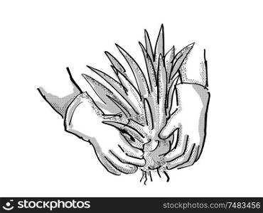 Retro cartoon style drawing of a gardener hand planting a plant on isolated white background done in black and white. Gardener Hand Planting Plant Cartoon Retro Drawing