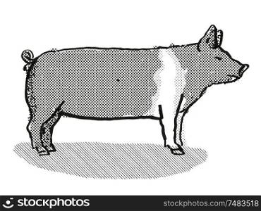 Retro cartoon style drawing of a Hampshire sow or boar, a pig breed viewed from side on isolated white background done in black and white. Hampshire Pig Breed Cartoon Retro Drawing