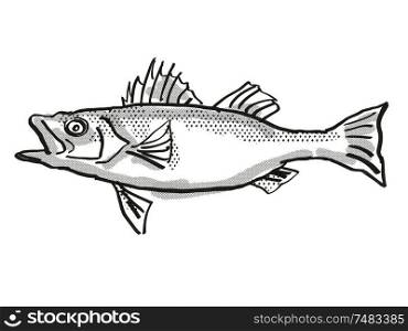 Retro cartoon style drawing of a Japanese Seaperch , a native Australian marine life species viewed from side on isolated white background done in black and white.. Japanese Seaperch Fish Cartoon Retro Drawing