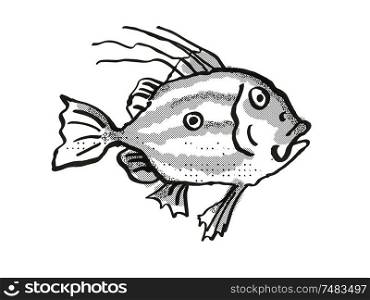 Retro cartoon style drawing of a John Dory, a native New Zealand marine life species viewed from side on isolated white background done in black and white. John Dory New Zealand Fish Cartoon Retro Drawing