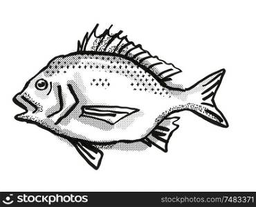 Retro cartoon style drawing of a North West Black Bream, a native Australian marine life species viewed from side on isolated white background done in black and white. North West Black Bream Australian Fish Cartoon Retro Drawing