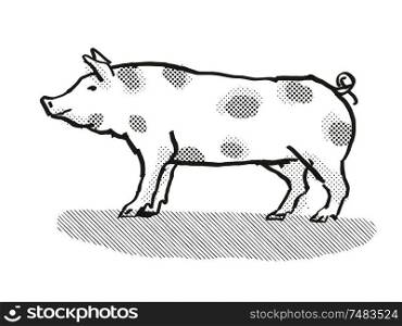 Retro cartoon style drawing of a Pietrain sow or boar, a pig breed viewed from side on isolated white background done in black and white. Pietrain Pig Breed Cartoon Retro Drawing