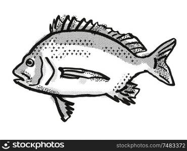 Retro cartoon style drawing of a Pikey Bream , a native Australian marine life species viewed from side on isolated white background done in black and white. Pikey Bream Australian Fish Cartoon Retro Drawing