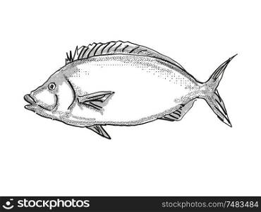 Retro cartoon style drawing of a porae, a native New Zealand marine life species viewed from side on isolated white background done in black and white. Porae New Zealand Fish Cartoon Retro Drawing
