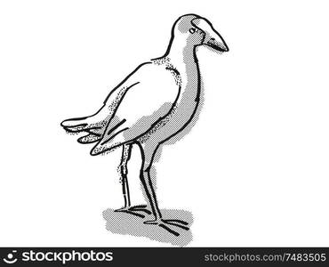 Retro cartoon style drawing of a pukeko or purple swamphen , a New Zealand bird on isolated white background done in black and white. pukeko New Zealand Bird Cartoon Retro Drawing