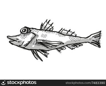 Retro cartoon style drawing of a Saumarez Gurnard , a native Australian marine life species viewed from side on isolated white background done in black and white.. Saumarez Gurnard Australian Fish Cartoon Retro Drawing