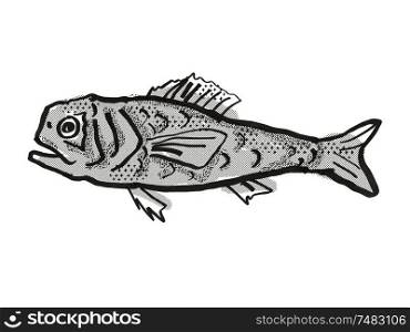 Retro cartoon style drawing of a Shoulderspine Bigscale fish , a native Australian marine life species viewed from side on isolated white background done in black and white.. Shoulderspine Bigscale Australian Fish Cartoon Retro Drawing