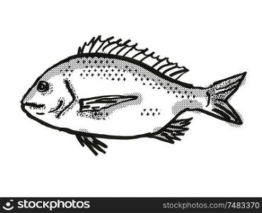 Retro cartoon style drawing of a silver bream , a native Australian marine life species viewed from side on isolated white background done in black and white. silver bream Australian Fish Cartoon Retro Drawing