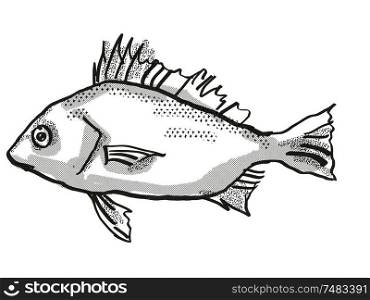 Retro cartoon style drawing of a Silver Javelin , a native Australian marine life species viewed from side on isolated white background done in black and white.. Silver Javelin Australian Fish Cartoon Retro Drawing