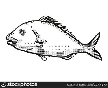 Retro cartoon style drawing of a snapper fish, a native New Zealand marine life species viewed from side on isolated white background done in black and white. Snapper New Zealand Fish Cartoon Retro Drawing