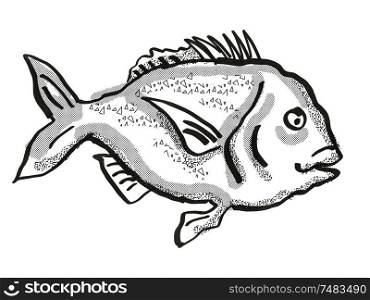 Retro cartoon style drawing of a snapper fish, a native New Zealand marine life species viewed from side on isolated white background done in black and white. Snapper New Zealand Fish Cartoon Retro Drawing