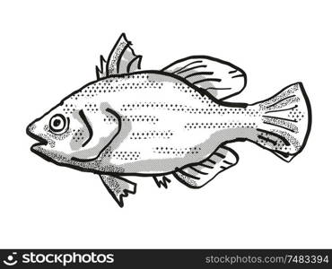 Retro cartoon style drawing of a Spikey Bass , a native Australian marine life species viewed from side on isolated white background done in black and white.. Spikey Bass Australian Fish Cartoon Retro Drawing