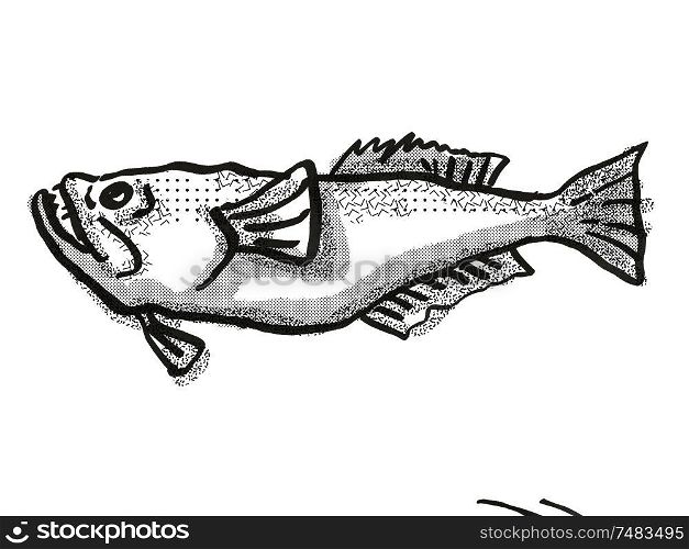 Retro cartoon style drawing of a stargazer, a perciform fish native New Zealand marine life species viewed from side on isolated white background done in black and white. stargazer New Zealand Fish Cartoon Retro Drawing