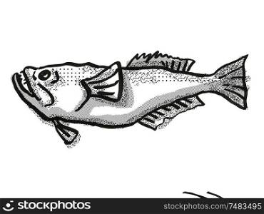 Retro cartoon style drawing of a stargazer, a perciform fish native New Zealand marine life species viewed from side on isolated white background done in black and white. stargazer New Zealand Fish Cartoon Retro Drawing
