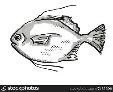 Retro cartoon style drawing of a Threadfin Scat , a native Australian marine life species viewed from side on isolated white background done in black and white.. Threadfin Scat Australian Fish Cartoon Retro Drawing