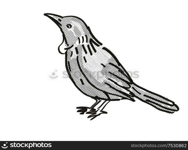 Retro cartoon style drawing of a Tui, a New Zealand bird on isolated white background done in black and white. Tui New Zealand Bird Cartoon Retro Drawing