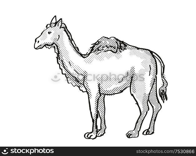 Retro cartoon style drawing of a Western Camel, an extinct North American wildlife species on isolated background done in black and white full body.. Western Camel Extinct North American Wildlife Cartoon Drawing