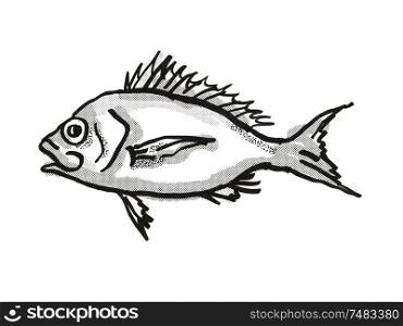 Retro cartoon style drawing of a Western Orange Perch , a native Australian marine life species viewed from side on isolated white background done in black and white.. Western Orange Perch Australian Fish Cartoon Retro Drawing