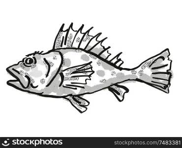 Retro cartoon style drawing of a Western Scorpionfish , a native Australian marine life species viewed from side on isolated white background done in black and white.. Western Scorpionfish Australian Fish Cartoon Retro Drawing