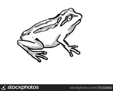 Retro cartoon style drawing of a Whistling Tree Frog , a native New Zealand wildlife on isolated white background done in black and white. Whistling Tree Frog New Zealand Wildlife Cartoon Retro Drawing