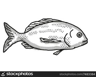 Retro cartoon style drawing of a Yellowfin Bream , a native Australian marine life species viewed from side on isolated white background done in black and white.. Yellowfin Bream Australian Fish Cartoon Retro Drawing