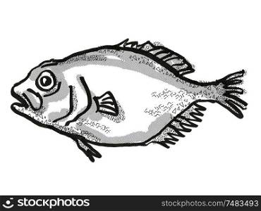Retro cartoon style drawing of an orange roughy, a native New Zealand marine life species viewed from side on isolated white background done in black and white. orange roughy New Zealand Fish Cartoon Retro Drawing