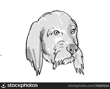 Retro cartoon style drawing of head of a Basset Fauve de Bretagne , a domestic dog or canine breed on isolated white background done in black and white.. Basset Fauve de Bretagne Dog Breed Cartoon Retro Drawing