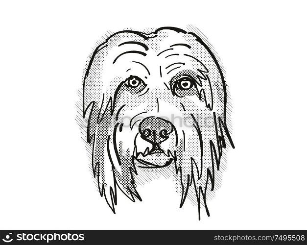Retro cartoon style drawing of head of a Bearded Collie , a domestic dog or canine breed on isolated white background done in black and white.. Bearded Collie Dog Breed Cartoon Retro Drawing