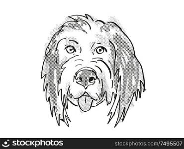 Retro cartoon style drawing of head of a Bernedoodle or Bernese Mountain Poo , a domestic dog or canine breed on isolated white background done in black and white.. Bernedoodle or Bernese Mountain Poo Dog Breed Cartoon Retro Drawing