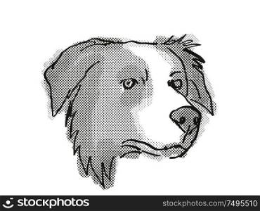 Retro cartoon style drawing of head of a Border Collie , a domestic dog or canine breed on isolated white background done in black and white.. Border Collie Dog Breed Cartoon Retro Drawing