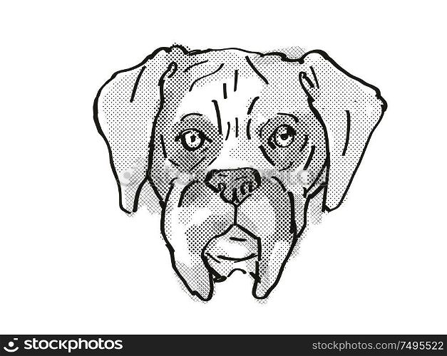 Retro cartoon style drawing of head of a Boxer dog , a domestic dog or canine breed on isolated white background done in black and white.. Boxer Dog Breed Cartoon Retro Drawing
