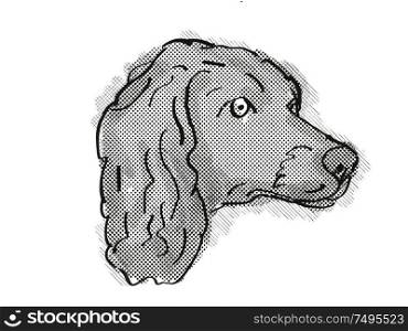 Retro cartoon style drawing of head of a Boykin Spaniel , a domestic dog or canine breed on isolated white background done in black and white.. Boykin Spaniel Dog Breed Cartoon Retro Drawing
