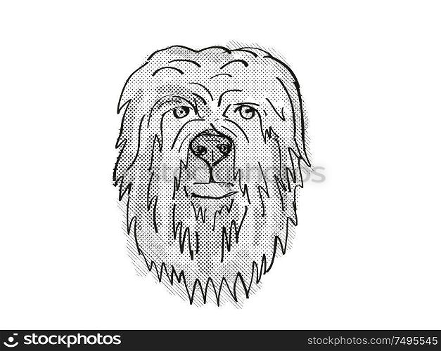 Retro cartoon style drawing of head of a Briard, a domestic dog or canine breed on isolated white background done in black and white.. Briard Dog Breed Cartoon Retro Drawing