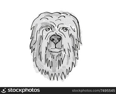 Retro cartoon style drawing of head of a Briard, a domestic dog or canine breed on isolated white background done in black and white.. Briard Dog Breed Cartoon Retro Drawing