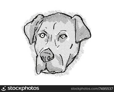 Retro cartoon style drawing of head of a Catahoula Bulldog also known as American Mastahoulas, a domestic dog or canine breed on isolated white background done in black and white.. Catahoula Bulldog or American Mastahoulas Dog Breed Cartoon Retro Drawing