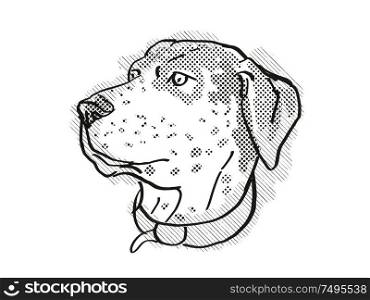 Retro cartoon style drawing of head of a Catahoula Leopoard, a domestic dog or canine breed on isolated white background done in black and white.. Catahoula Leopoard Dog Breed Cartoon Retro Drawing