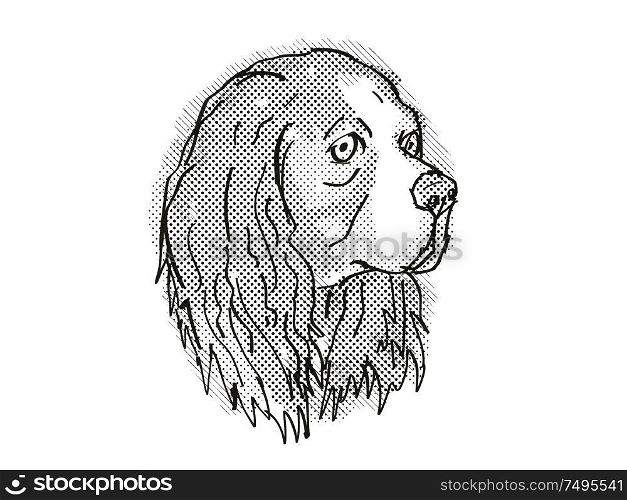 Retro cartoon style drawing of head of a Cavalier King Charles Spaniel, a domestic dog or canine breed on isolated white background done in black and white.. Cavalier King Charles Spaniel Dog Breed Cartoon Retro Drawing